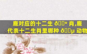 鹿对应的十二生 🐺 肖,鹿代表十二生肖里哪种 🌵 动物